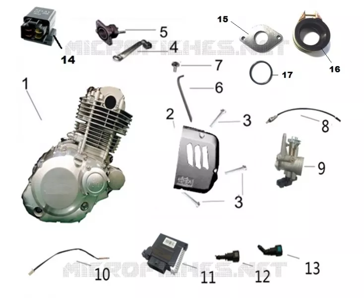 MOTOR