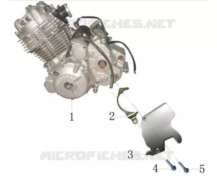 MOTOR