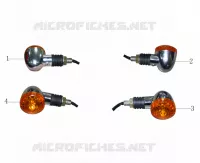 FAROLIM PISCA