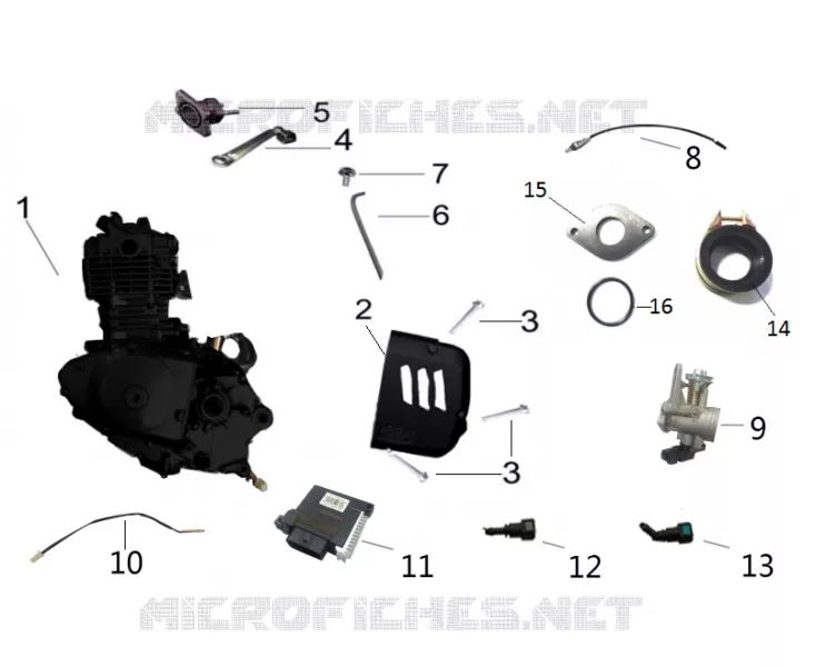 MOTOR