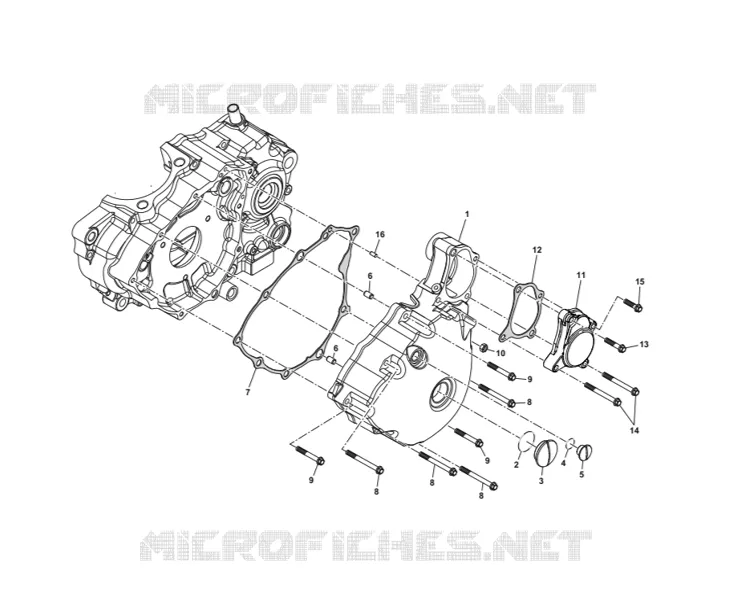 CARTER ESQUERDA