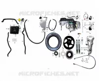 RODA TRASEIRA E MOTOR