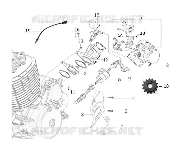 MOTOR / INJEÇÃO / PEDAL DE ENGRENAGEM