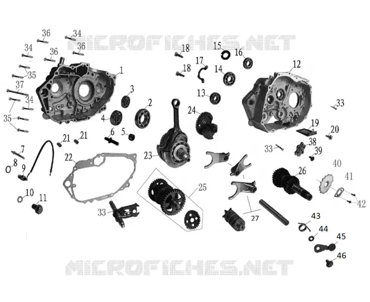 CARTERS MOTOR / CAMBOTA